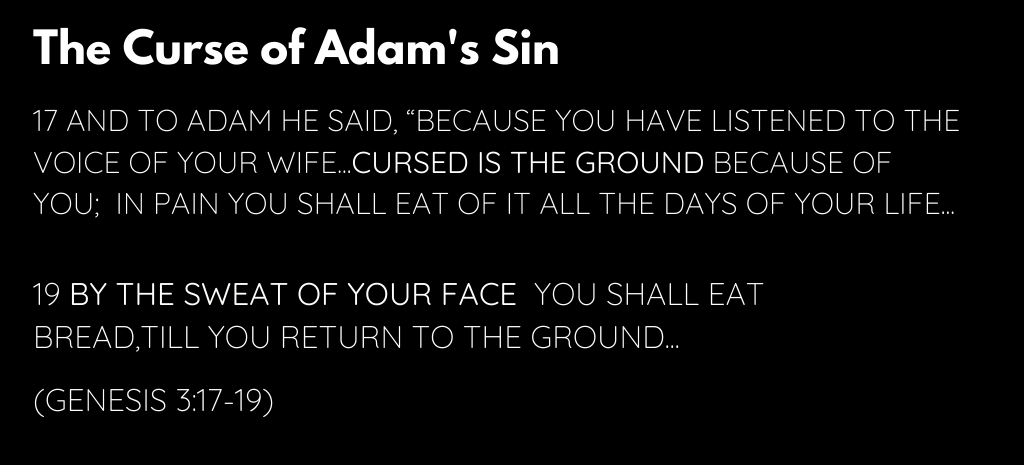 The curse of Adam's sin verse