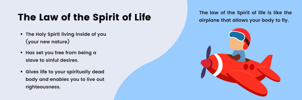 The law of the Spirit of Life